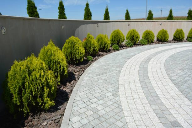 Best Residential Driveway Paving in USA